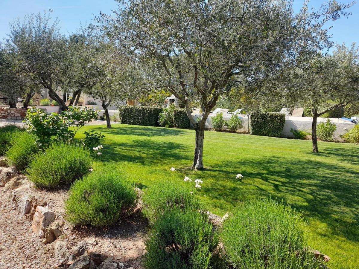 Gite Provencal Independant Avec Piscine Chauffee : Le Suy Bien Flayosc Екстериор снимка